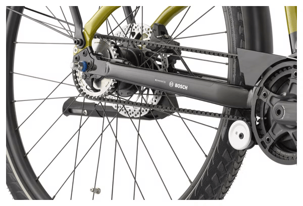 Vélo de Ville Électrique Cannondale Mavaro Neo 4 Shimano Nexus 5V Courroie 500 Wh 29'' Vert